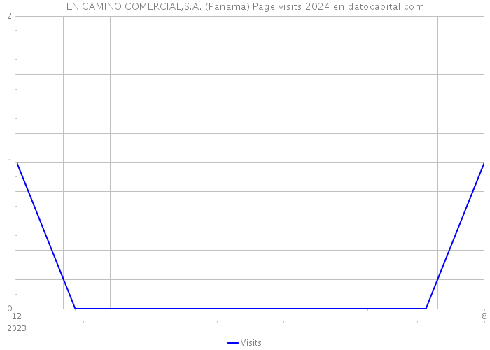 EN CAMINO COMERCIAL,S.A. (Panama) Page visits 2024 