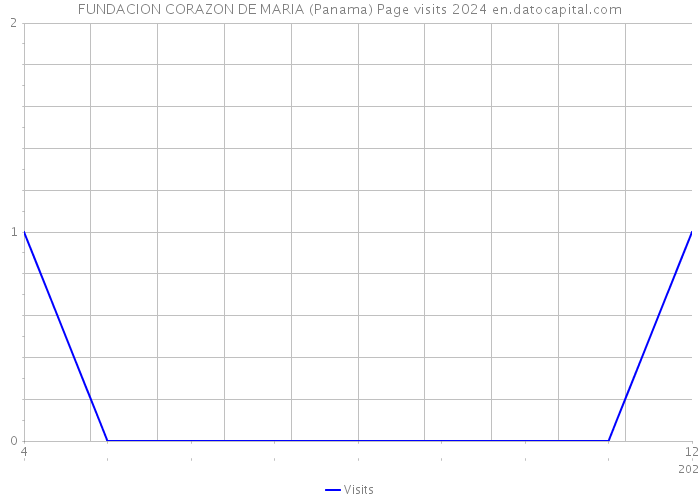 FUNDACION CORAZON DE MARIA (Panama) Page visits 2024 