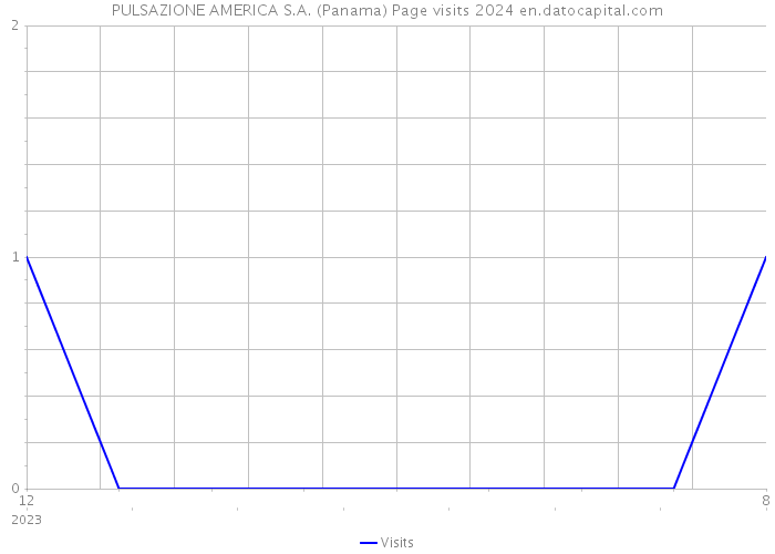PULSAZIONE AMERICA S.A. (Panama) Page visits 2024 
