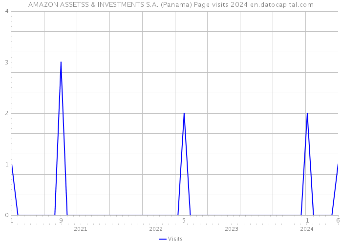 AMAZON ASSETSS & INVESTMENTS S.A. (Panama) Page visits 2024 