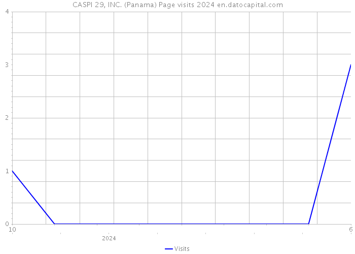 CASPI 29, INC. (Panama) Page visits 2024 