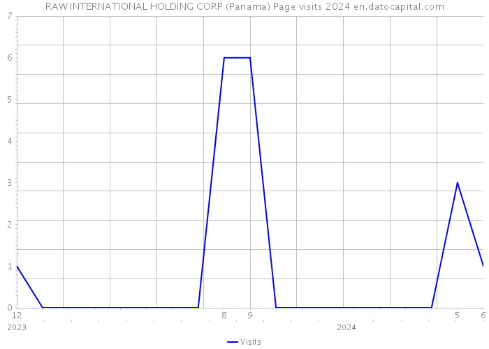 RAW INTERNATIONAL HOLDING CORP (Panama) Page visits 2024 
