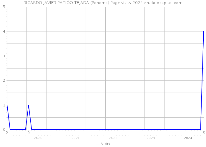 RICARDO JAVIER PATIÖO TEJADA (Panama) Page visits 2024 