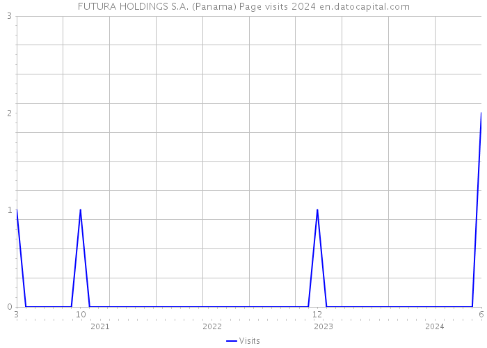FUTURA HOLDINGS S.A. (Panama) Page visits 2024 