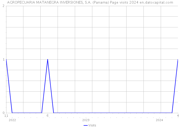 AGROPECUARIA MATANEGRA INVERSIONES, S.A. (Panama) Page visits 2024 