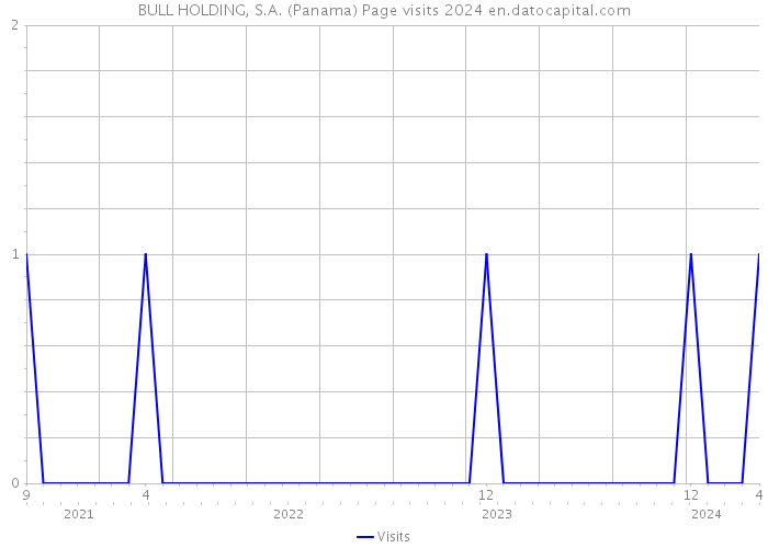 BULL HOLDING, S.A. (Panama) Page visits 2024 
