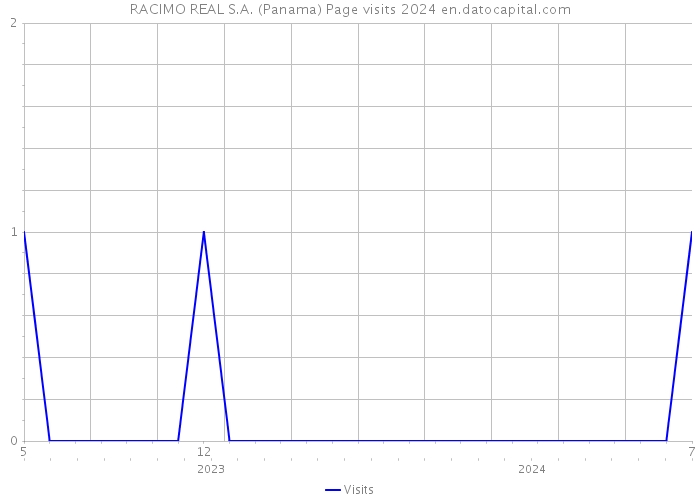 RACIMO REAL S.A. (Panama) Page visits 2024 