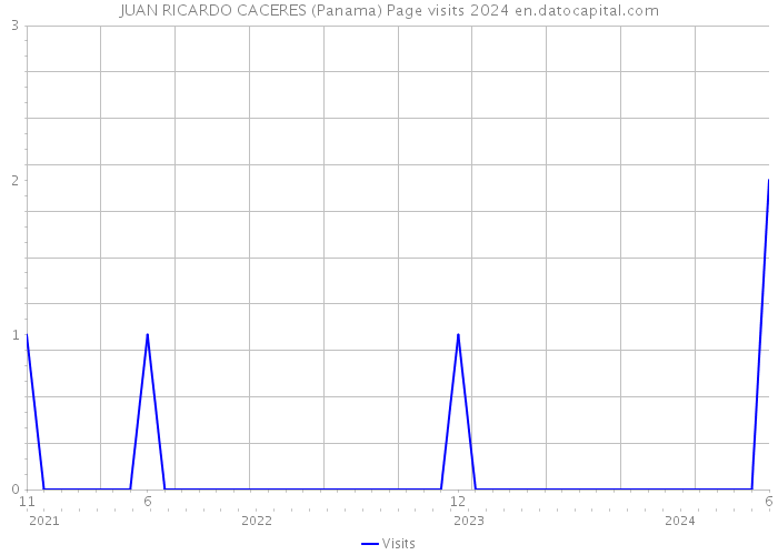 JUAN RICARDO CACERES (Panama) Page visits 2024 