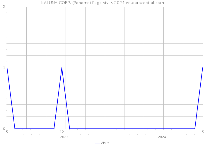 KALUNA CORP. (Panama) Page visits 2024 