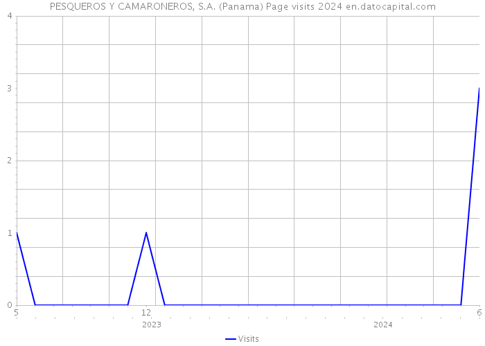 PESQUEROS Y CAMARONEROS, S.A. (Panama) Page visits 2024 