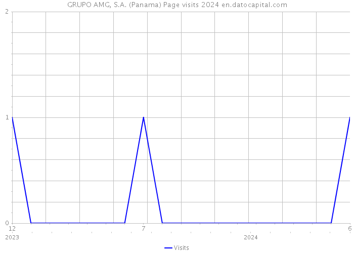 GRUPO AMG, S.A. (Panama) Page visits 2024 