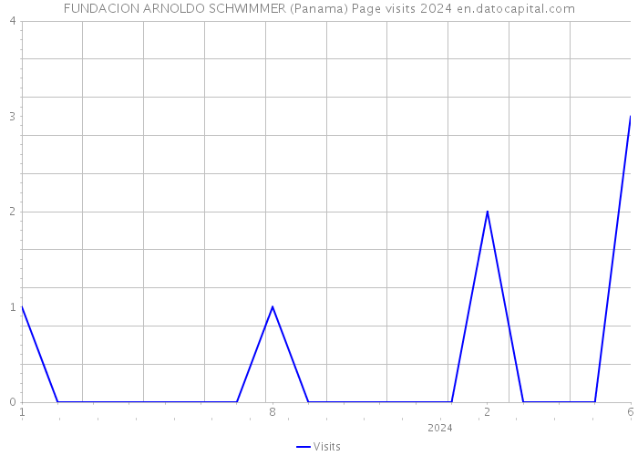 FUNDACION ARNOLDO SCHWIMMER (Panama) Page visits 2024 