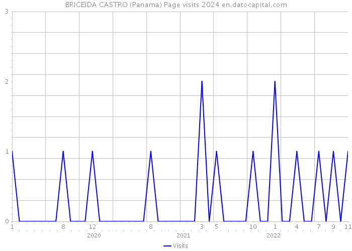 BRICEIDA CASTRO (Panama) Page visits 2024 