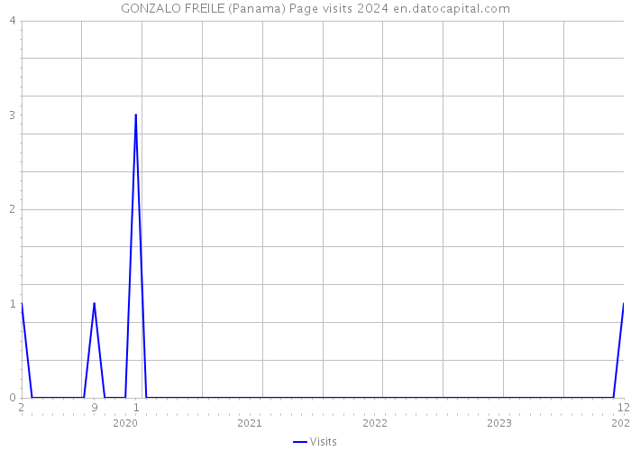 GONZALO FREILE (Panama) Page visits 2024 