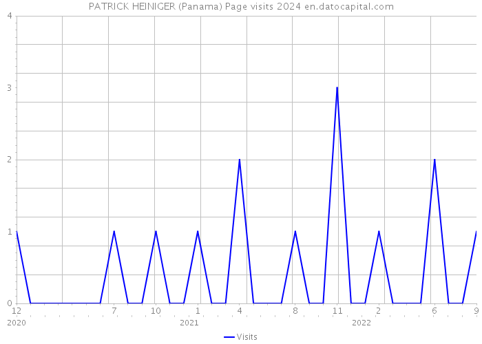 PATRICK HEINIGER (Panama) Page visits 2024 