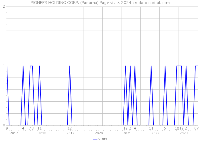 PIONEER HOLDING CORP. (Panama) Page visits 2024 