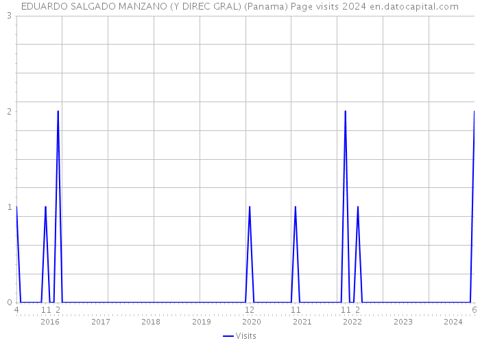 EDUARDO SALGADO MANZANO (Y DIREC GRAL) (Panama) Page visits 2024 