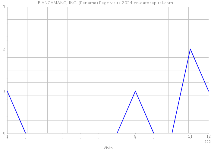 BIANCAMANO, INC. (Panama) Page visits 2024 