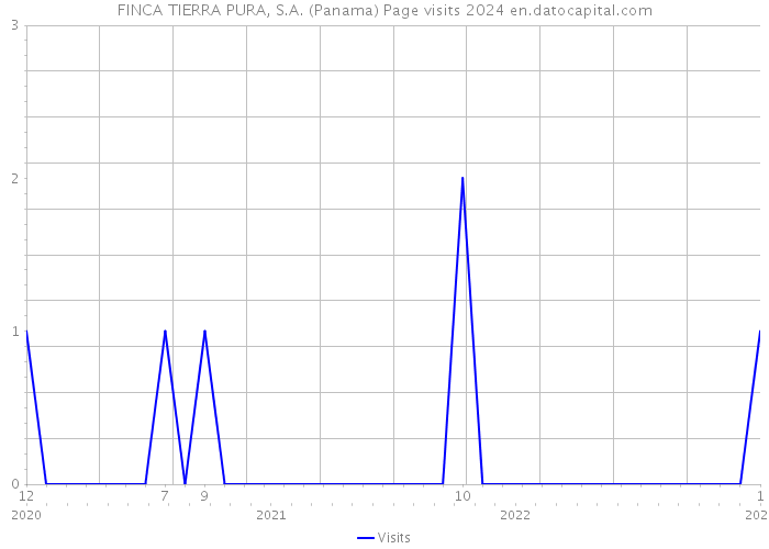 FINCA TIERRA PURA, S.A. (Panama) Page visits 2024 