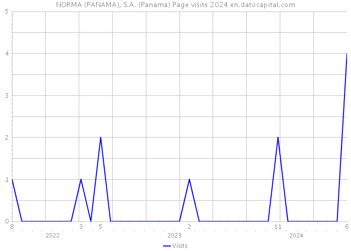 NORMA (PANAMA), S.A. (Panama) Page visits 2024 