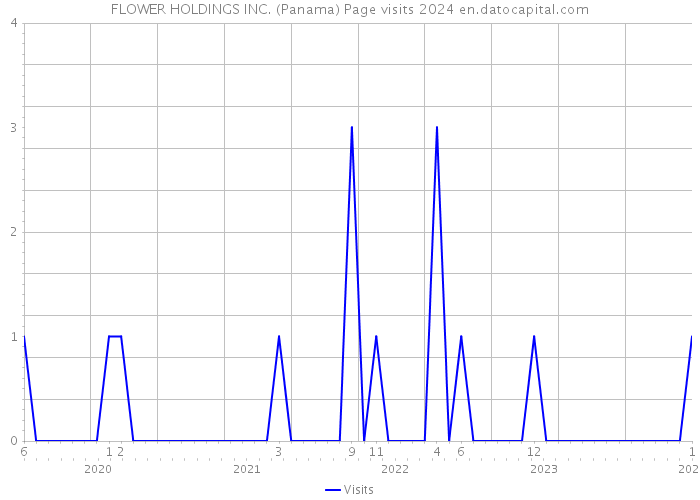 FLOWER HOLDINGS INC. (Panama) Page visits 2024 