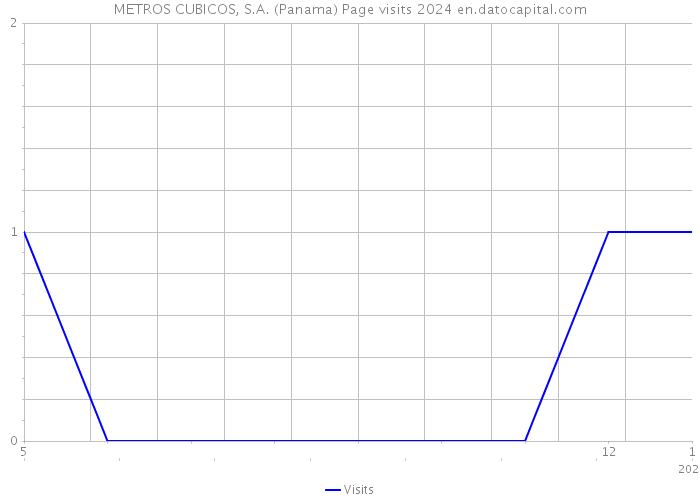 METROS CUBICOS, S.A. (Panama) Page visits 2024 