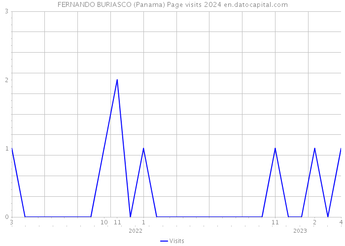 FERNANDO BURIASCO (Panama) Page visits 2024 