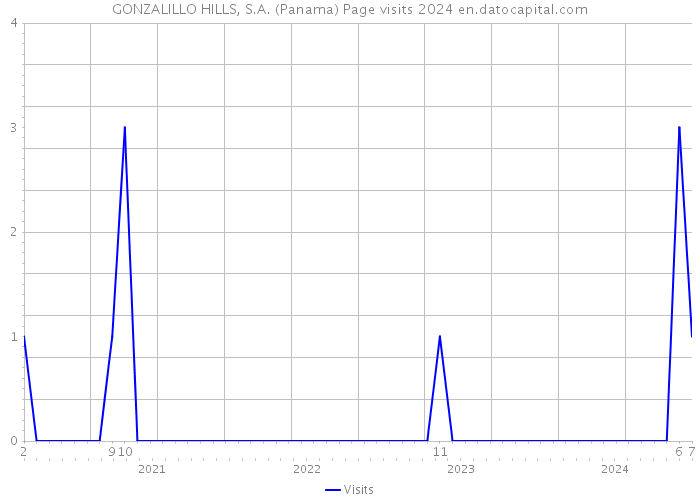 GONZALILLO HILLS, S.A. (Panama) Page visits 2024 