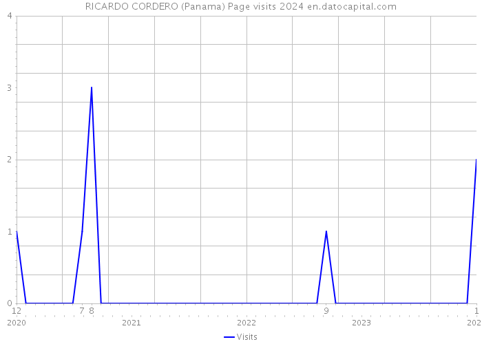 RICARDO CORDERO (Panama) Page visits 2024 