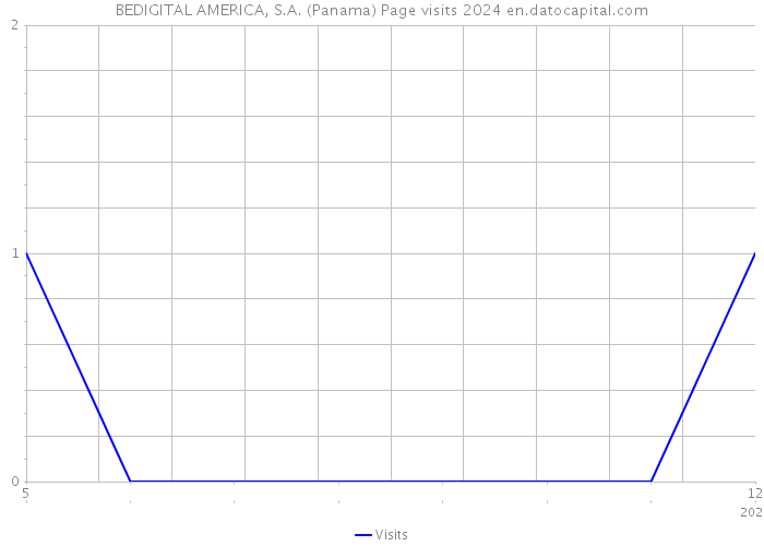 BEDIGITAL AMERICA, S.A. (Panama) Page visits 2024 