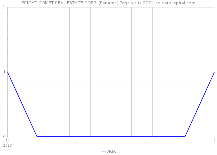 BRIGHT COMET REAL ESTATE CORP. (Panama) Page visits 2024 