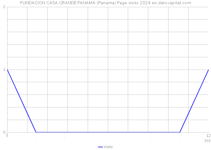 FUNDACION CASA GRANDE PANAMA (Panama) Page visits 2024 
