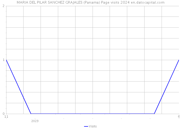 MARIA DEL PILAR SANCHEZ GRAJALES (Panama) Page visits 2024 