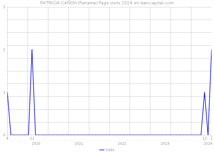 PATRICIA CAÑON (Panama) Page visits 2024 