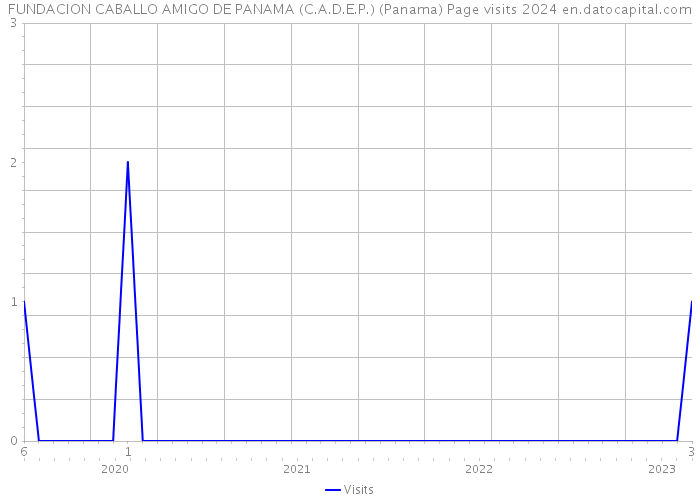 FUNDACION CABALLO AMIGO DE PANAMA (C.A.D.E.P.) (Panama) Page visits 2024 