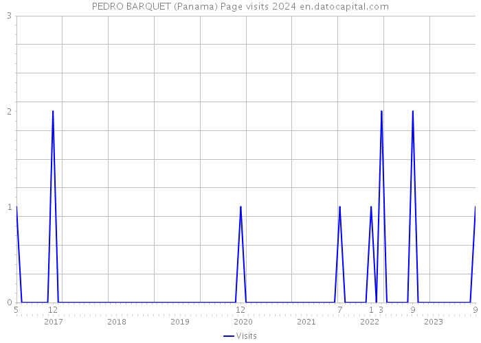 PEDRO BARQUET (Panama) Page visits 2024 