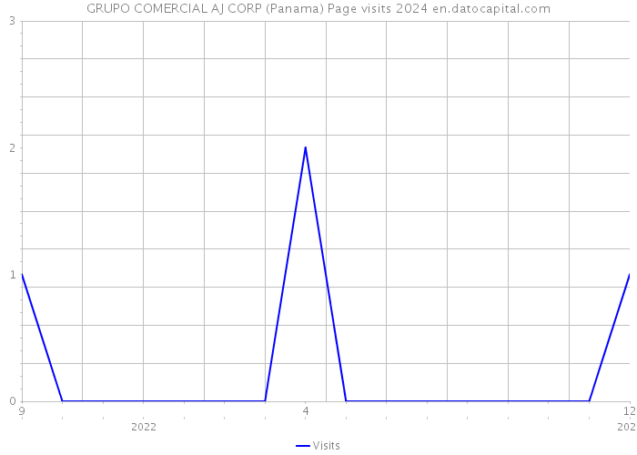 GRUPO COMERCIAL AJ CORP (Panama) Page visits 2024 