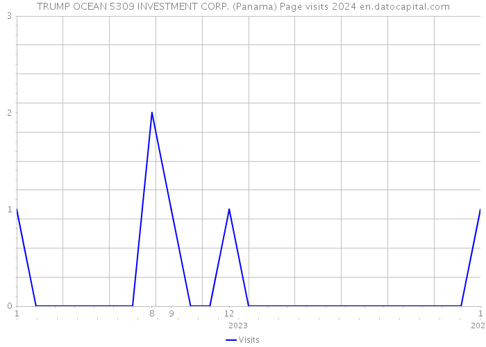 TRUMP OCEAN 5309 INVESTMENT CORP. (Panama) Page visits 2024 