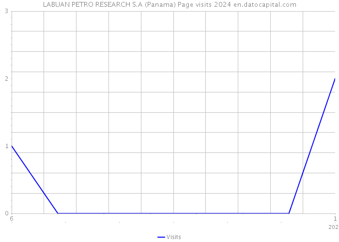 LABUAN PETRO RESEARCH S.A (Panama) Page visits 2024 