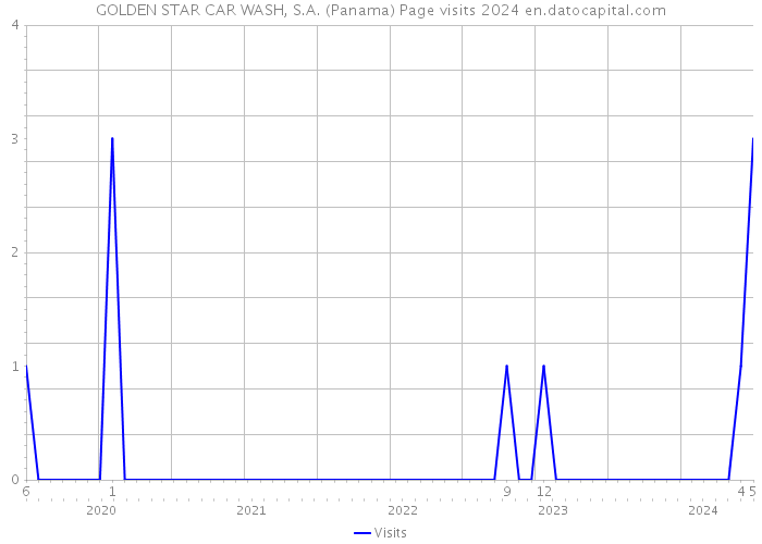 GOLDEN STAR CAR WASH, S.A. (Panama) Page visits 2024 