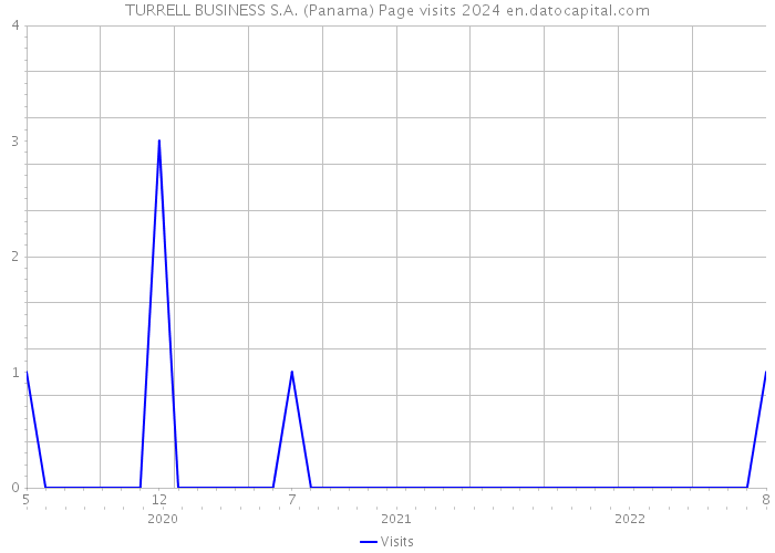 TURRELL BUSINESS S.A. (Panama) Page visits 2024 
