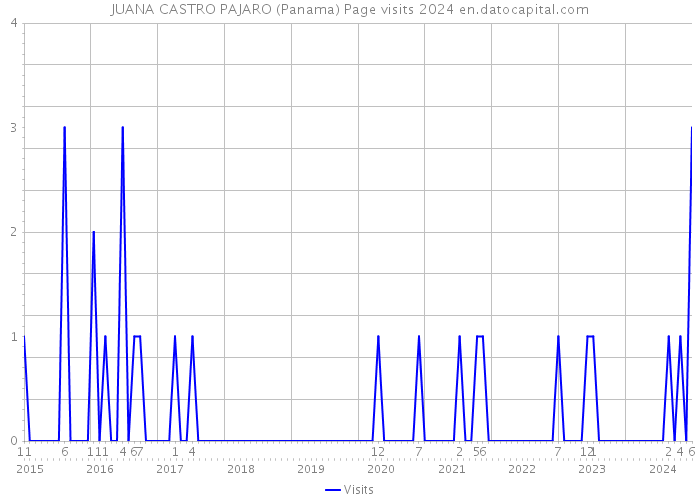 JUANA CASTRO PAJARO (Panama) Page visits 2024 