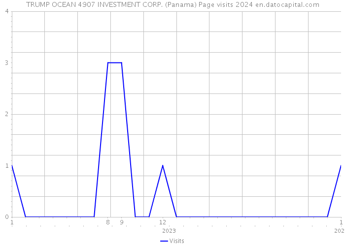 TRUMP OCEAN 4907 INVESTMENT CORP. (Panama) Page visits 2024 