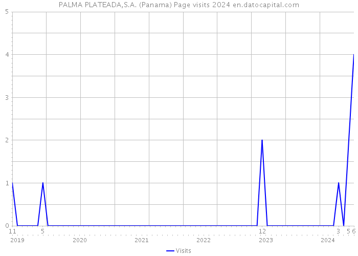 PALMA PLATEADA,S.A. (Panama) Page visits 2024 