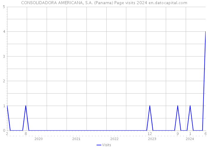 CONSOLIDADORA AMERICANA, S.A. (Panama) Page visits 2024 