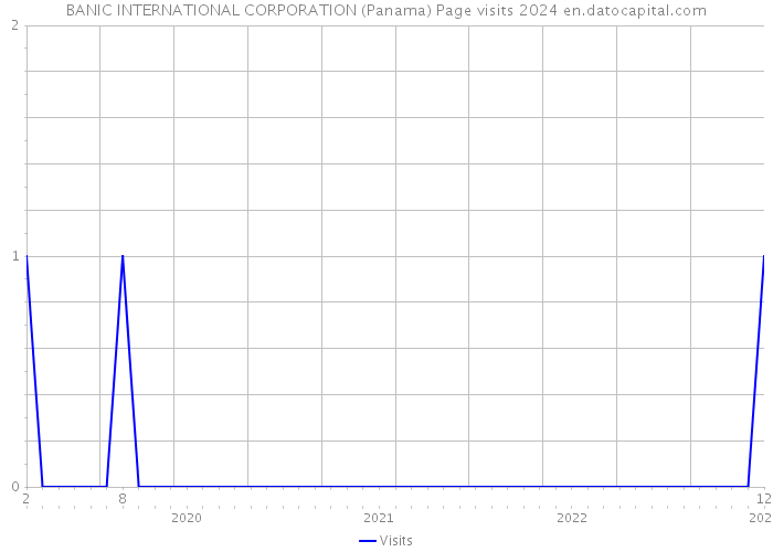 BANIC INTERNATIONAL CORPORATION (Panama) Page visits 2024 