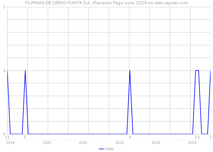 FILIPINAS DE CERRO PUNTA S.A. (Panama) Page visits 2024 