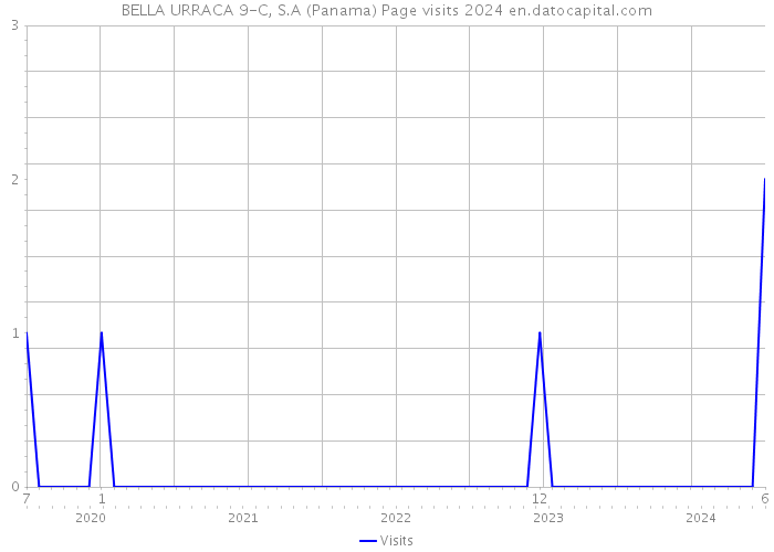 BELLA URRACA 9-C, S.A (Panama) Page visits 2024 