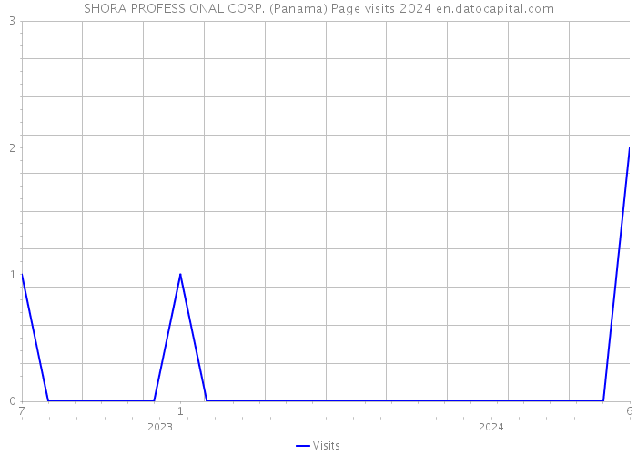 SHORA PROFESSIONAL CORP. (Panama) Page visits 2024 