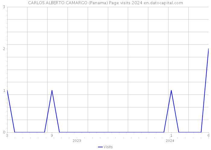 CARLOS ALBERTO CAMARGO (Panama) Page visits 2024 